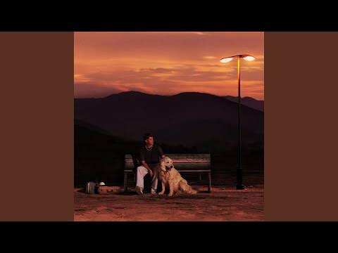 Alan Walker x AVA - Never Look Back